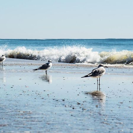 Direct Gulf Views With Deeded Beach Access Gulf Shores Exterior photo